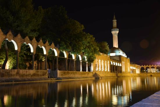 Güneydoğu Anadolu - Mezopotamya'nın Verimli Toprakları ve Tarihi Bölge